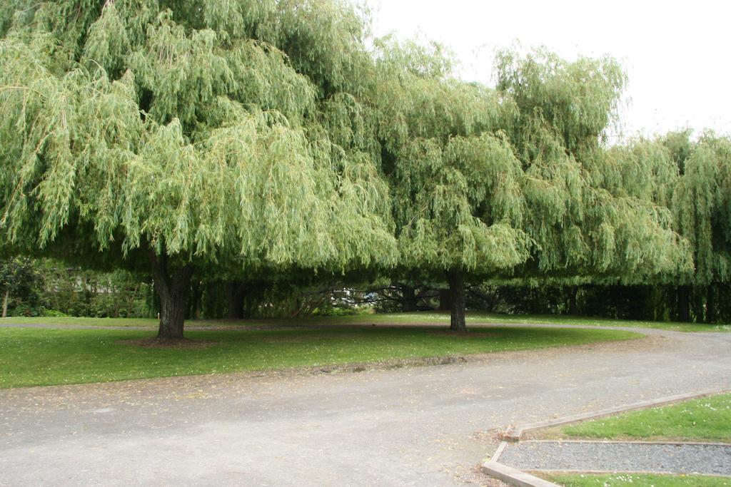 Whangarei Central Holiday Park Екстериор снимка
